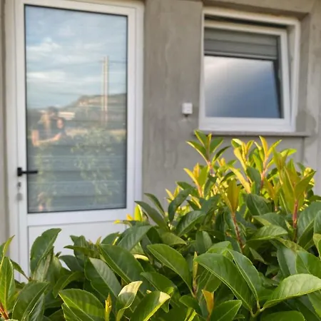 Mak * تريبينيي